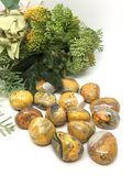 Bumble Bee Jasper Tumble Stones - Large