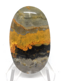 Bumble Bee Jasper Cabochon #149