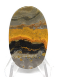 Bumble Bee Jasper Cabochon #149