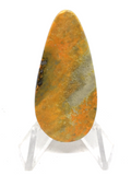 Bumble Bee Jasper Cabochon #452