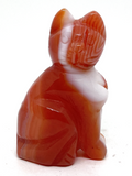 Carnelian Cat #64