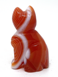 Carnelian Cat #64