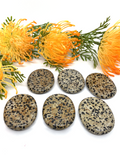 Dalmatian Jasper Worry Stone