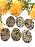 Dalmatian Jasper Worry Stone