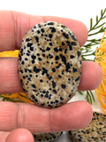 Dalmatian Jasper Worry Stone