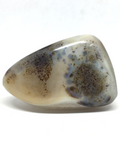 Dendritic Agate Palm Stone #49