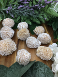 Desert Rose Rosettes