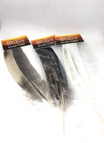 Smudge Feather