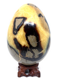 Septarian Egg #131- Large