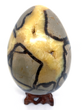 Septarian Egg #131- Large