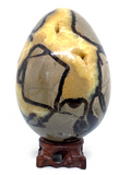 Septarian Egg #131- Large