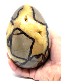 Septarian Egg #131- Large