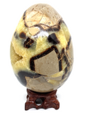 Septarian Egg #132- Large