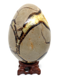 Septarian Egg #132- Large