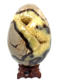 Septarian Egg #132- Large