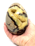 Septarian Egg #132- Large