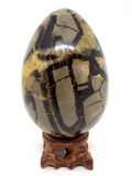 Septarian Egg #410 - 10cm