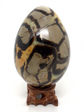 Septarian Egg #411 - 10.3cm