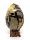 Septarian Egg #411 - 10.3cm
