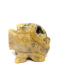 Crazy Lace Agate Fish #138