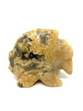 Crazy Lace Agate Fish #138