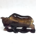 Fluorite Bull # 161