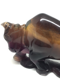 Fluorite Bull # 161