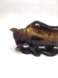 Fluorite Bull # 161
