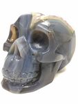 Agate Geode Skull #258