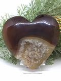 Agate Geode Heart # 261