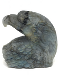 Labradorite Eagle Head Carving #254
