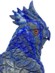 Lapis Lazuli Parrot #316