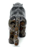 Leopard Jasper Leopard #191