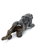 Leopard Jasper Leopard #191