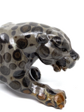 Leopard Jasper Leopard #192