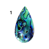 Abalone Shell Cabochons - Lot #14