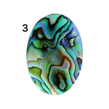 Abalone Shell Cabochons - Lot #14