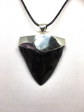 Megalodon Shark Tooth Sterling Silver Pendant - Blue Turtles