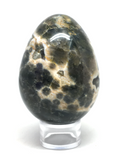 Ocean Jasper Egg # 52 - 80mm