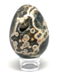 Ocean Jasper Egg # 52 - 80mm