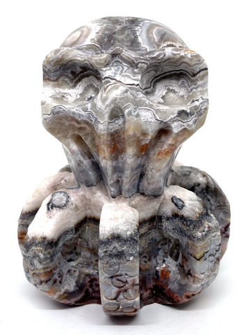 Mexican Agate (Crazy Lace Agate) Octopus #469