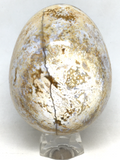 Ocean Jasper Egg # 79 - 85mm