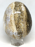 Ocean Jasper Egg # 79 - 85mm