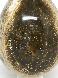 Ocean Jasper Egg # 79 - 85mm