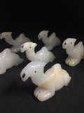 Onyx Camels