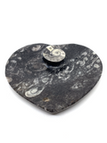 Orthoceras Fossil Heart Bowl #200