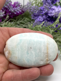 Caribbean Calcite Palm Stone #68