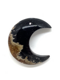 Palm Root Crescent Moon #60