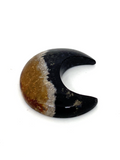Palm Root Crescent Moon #64