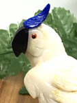 Gem Parrot #247